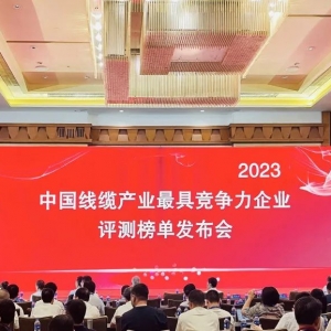 中國線纜產(chǎn)業(yè)最具競爭力企業(yè)100強發(fā)布：縱覽線纜連續(xù)五年上榜！