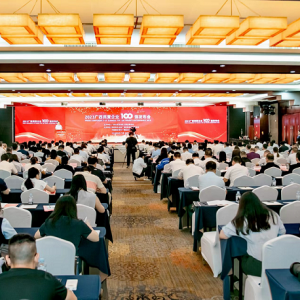 再傳喜訊！縱覽線纜集團成為廣西線纜行業(yè)唯一上榜廣西民營企業(yè)100強、廣西民營企業(yè)制造業(yè)100強企業(yè)